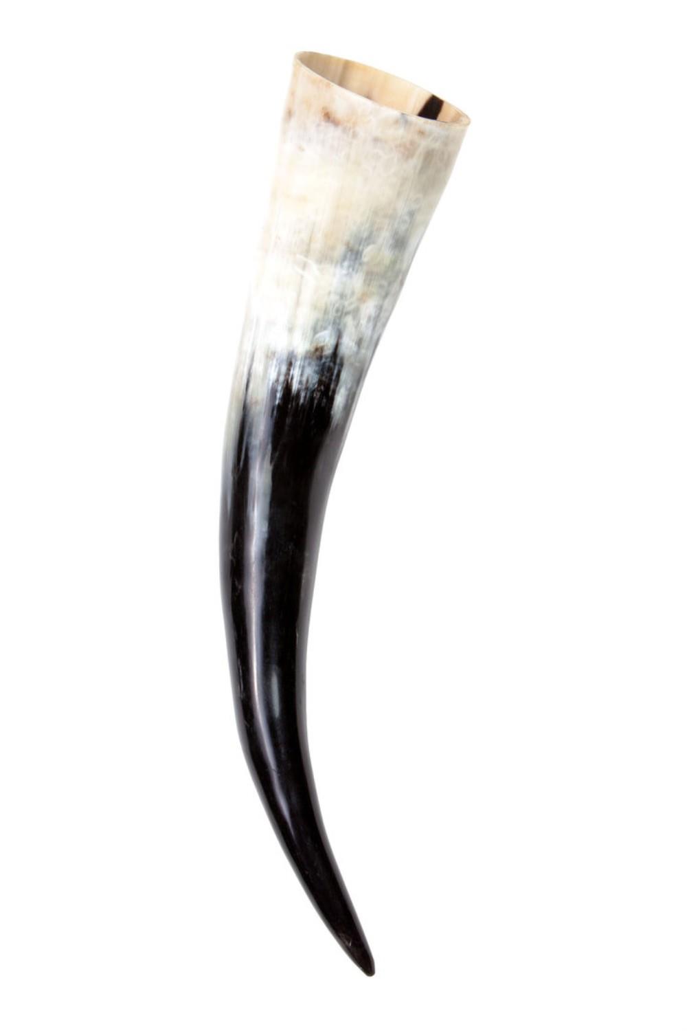 Drinking horn ca. 500-590 ml