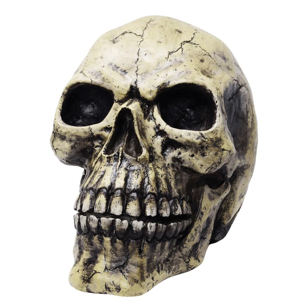 Totenkopf XL Large